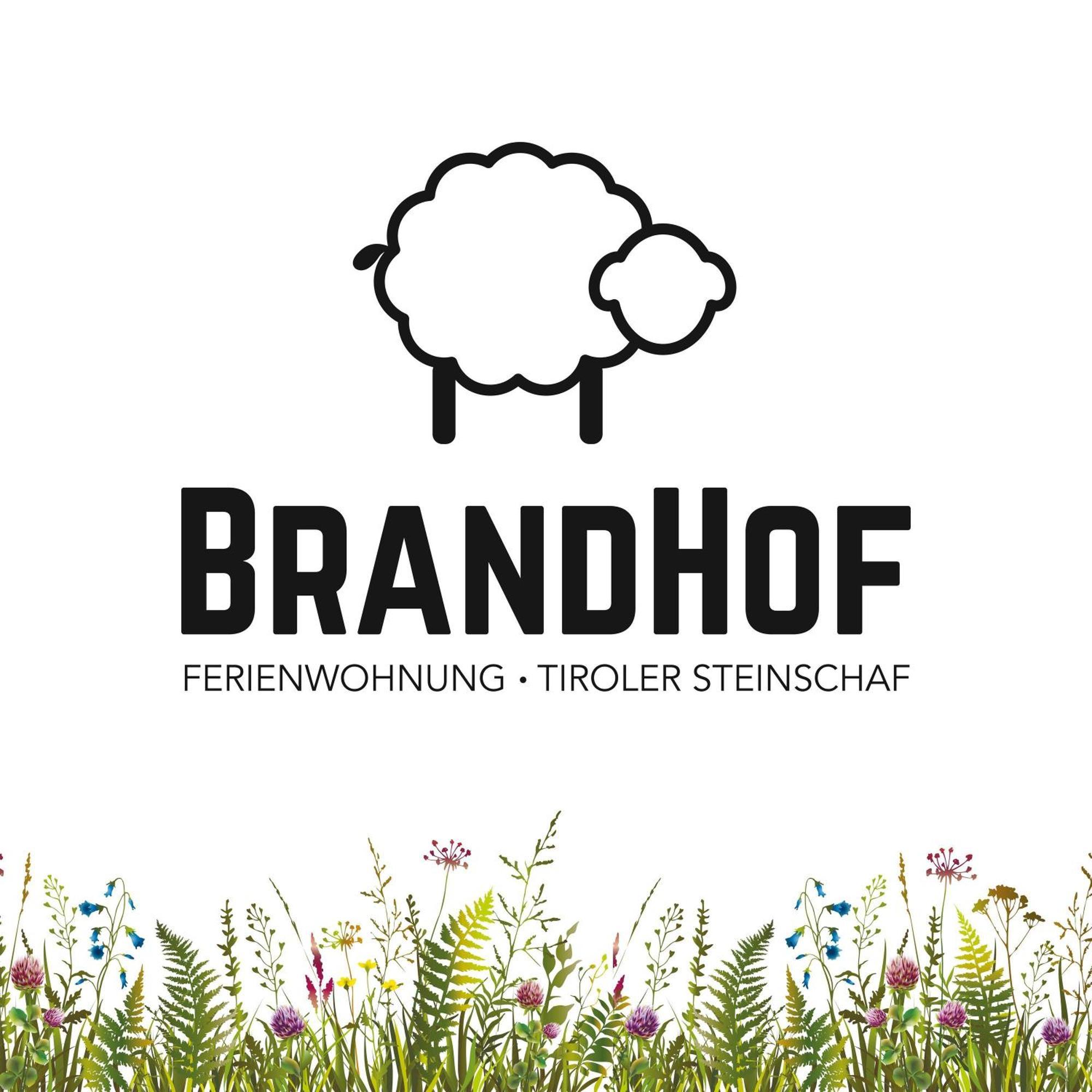 Apartament Brandhof Reith Zewnętrze zdjęcie